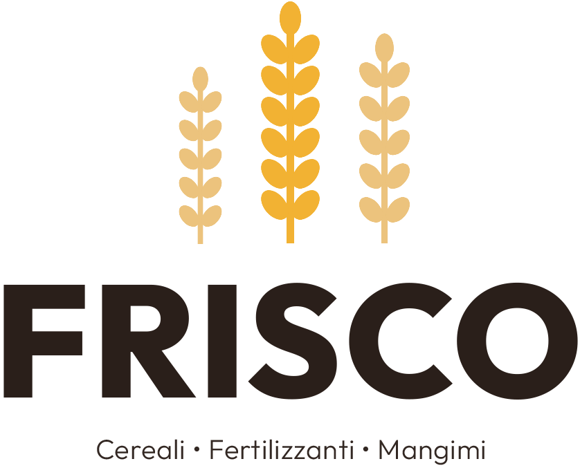 logo completo