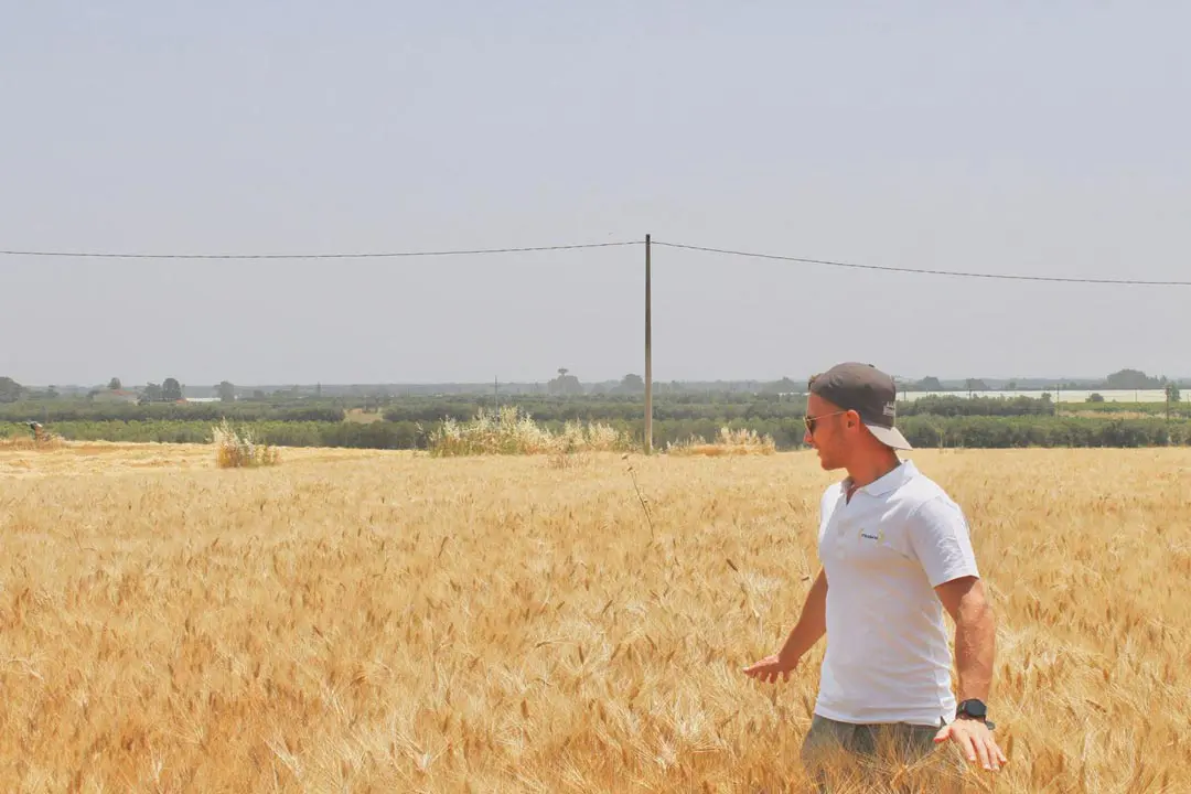 Oggi — Antonio Frisco